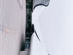 -哈尔滨大剧院