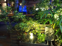 -万藏·荞麦酒房BANKURA JAPANESE SOBA KITCHEN(长乐路店)