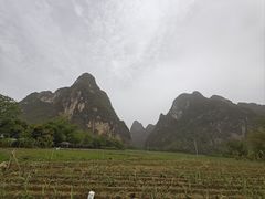 -明仕田园