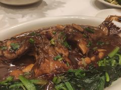 鲈鱼-百姓渔村(南中环店)