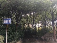 -安飞驰驾校·学车连锁(金高店)