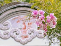 -深圳国际园林花卉博览园
