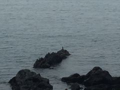 -龙头岩(Dragon Head Rock)