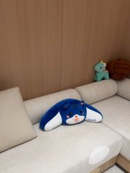 -深圳阳光医疗美容