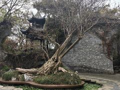 -朴园