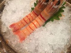 鳌虾-柚子(假日店)