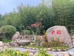 -竹子庵公园