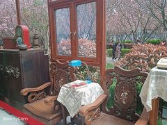 -高东镇樱花园