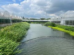 -马陆小张葡萄园农家乐