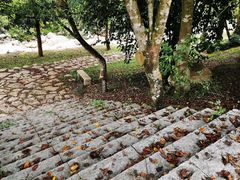 -海南热带雨林国家公园吊罗山景区