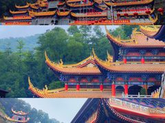 -东莞市大岭山森林公园