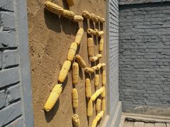 -白洋淀景区