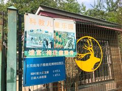 -北京麋鹿生态实验中心