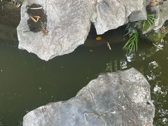 -汇龙潭