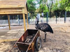 -长白岛森林公园