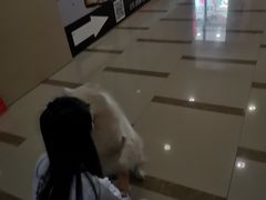 -肆兮眼镜·蔡司·徕卡战略合作店(大坪店)