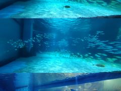 -常州海昌海洋探索馆