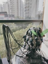 -镁连社·美联社