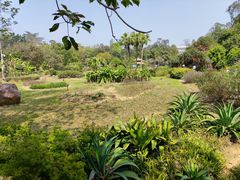 -广西壮族自治区药用植物园