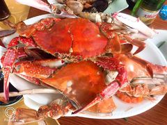 -胖大嫂渔家排档·全海景餐厅(渔村店)