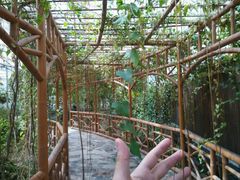 android_upload_pic-水镜湖