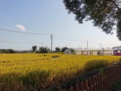 -莲花岛景区