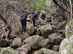 -东莞市大岭山森林公园