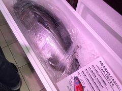 -大起水产回转寿司(道顿堀店)