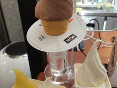 -野人先生Gelato(上海长宁龙之梦店)