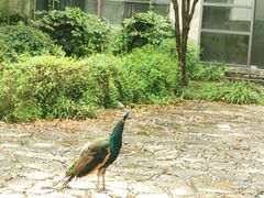 -苏州环秀晓筑养生度假村