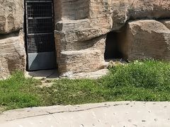 -齐齐哈尔龙沙动植物园