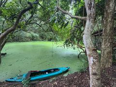 -Bamboo Saturday Market(Nana Jungle)