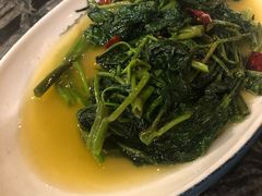 炝炒空心菜-情妹耙泥鳅·江湖川菜(科华店)