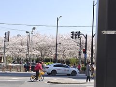 -虹口足球场壁球馆