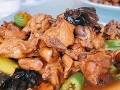 红烧农家鸡-中原农家乐(中原饭店)