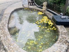 -余姚阳明温泉山庄