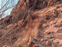 -红山国家森林公园