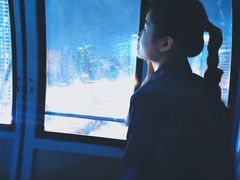 -星城之眼摩天轮