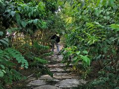 -天津东丽湖风景区
