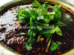 -温江公平红烧兔(总店)