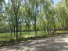 -东郊湿地公园
