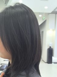 -FINE HAIR 烫染专业设计