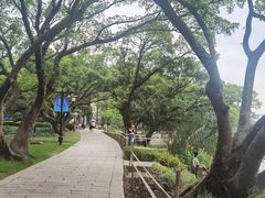 -江心屿景区