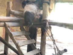 -常州淹城野生动物世界