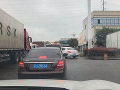 -双福水果批发市场