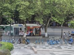 -青藤茶馆(南山路店)