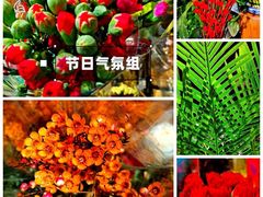 -盒马鲜生(双清路店)