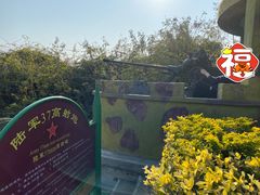 -大嶝英雄三岛战地观光园