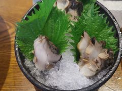 -山盛创作料理·Yamamori(珠宾店)