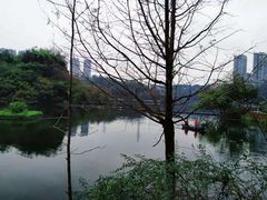 -重庆彩云湖湿地公园